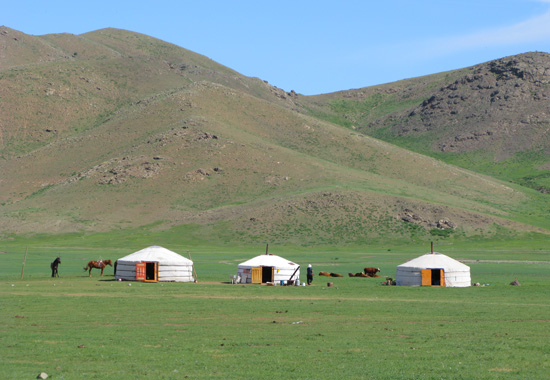 Gere på den Mongoliska landsbygden